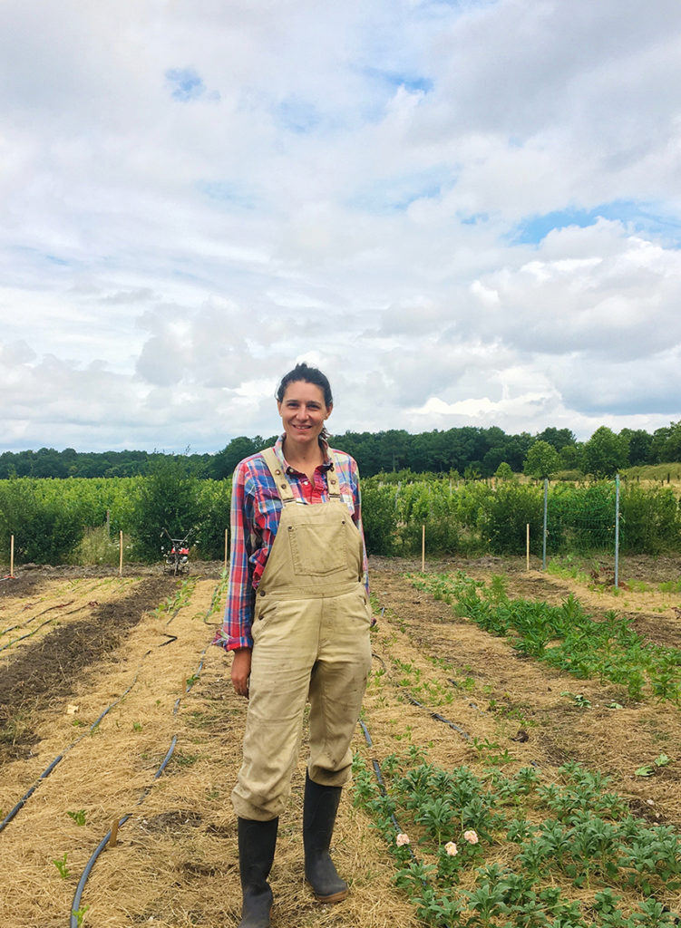 A floral farm on the estate | EnglishEnglish